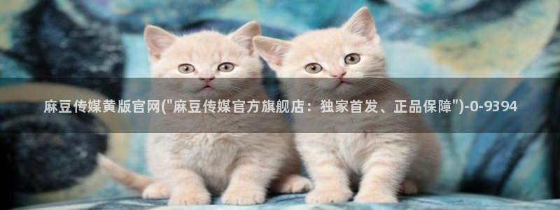 麻豆传媒官网在线：麻豆传媒黄版官网(\