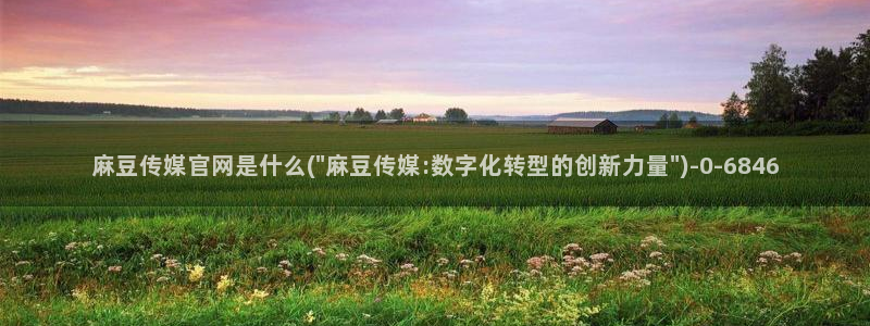 麻豆传媒官网官方：麻豆传媒官网是什么(\