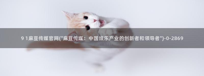 91麻豆传媒官网地址：9 1麻豆传媒官网(\