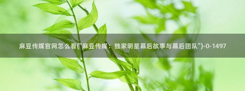 麻豆传媒影视官网地址：麻豆传媒官网怎么看(\