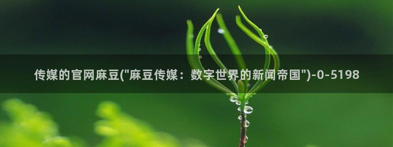 麻豆映化传媒官网：传媒的官网麻豆(\