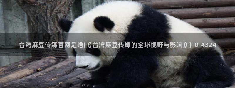麻豆床传媒官网在线：台湾麻豆传媒官网是啥(《台湾麻豆传媒的全球视野与影响》)