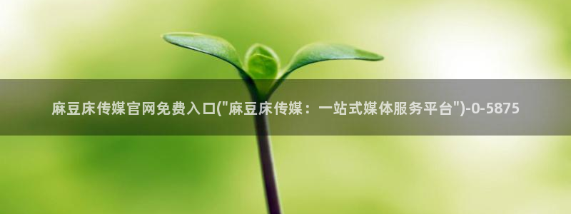 麻豆m传媒官网：麻豆床传媒官网免费入口(\