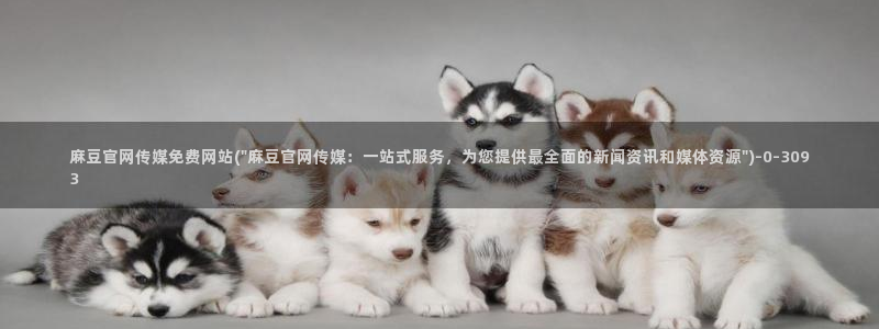 麻豆传媒官网女主：麻豆官网传媒免费网站(\
