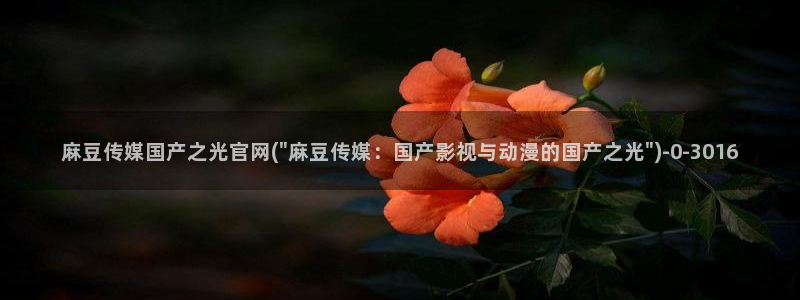 麻豆映画传媒官网欢迎你