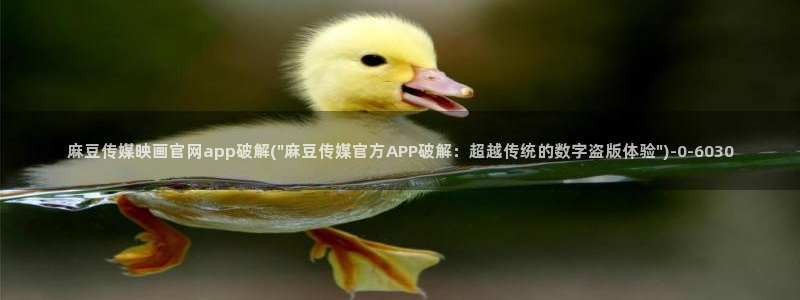 麻豆传媒官网女艺人：麻豆传媒映画官网app破解(\