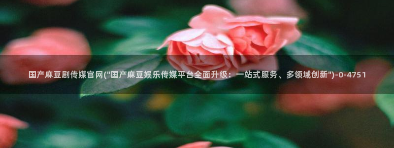 麻豆传媒官网打不开