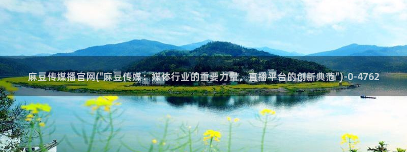 麻豆传媒自制官网