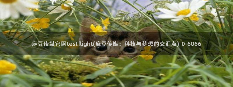 麻豆影片传媒官网