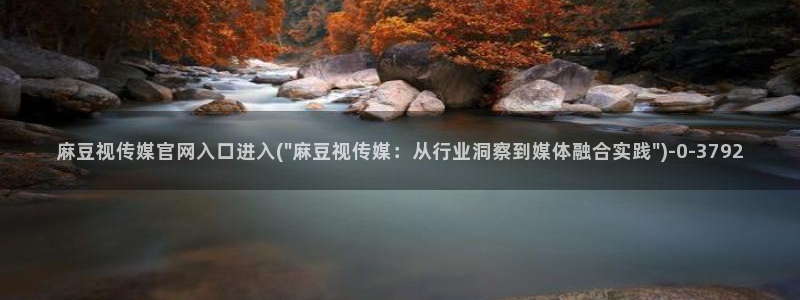 麻豆传媒官网18