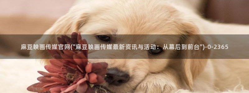 麻豆传媒官网 在线观看