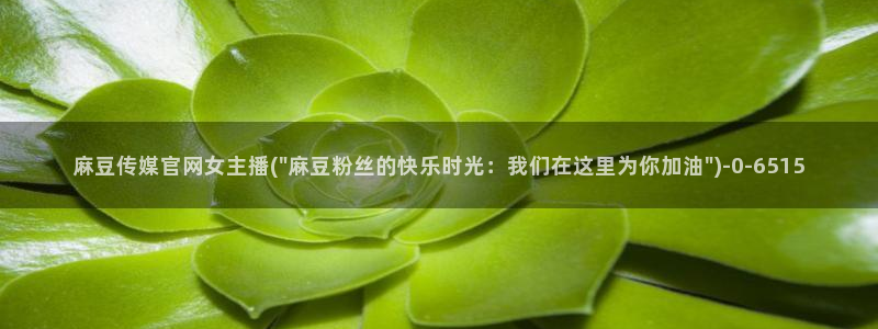 麻豆传媒直播官网一