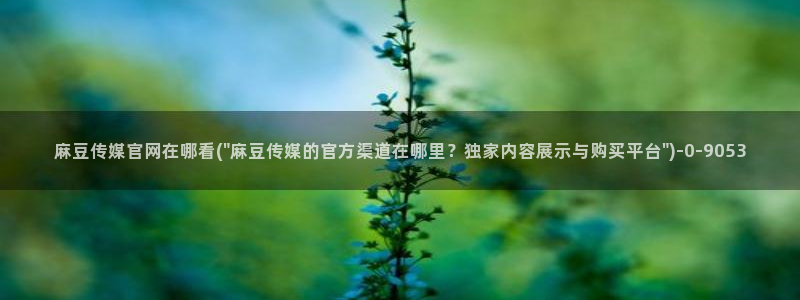 台湾麻豆传媒官网逍遥：麻豆传媒官网在哪看(\