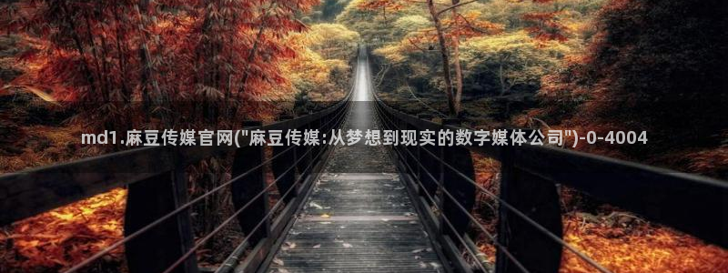 麻豆AV传媒在线官网