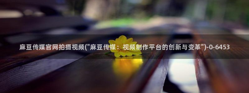 成人麻豆传媒官网