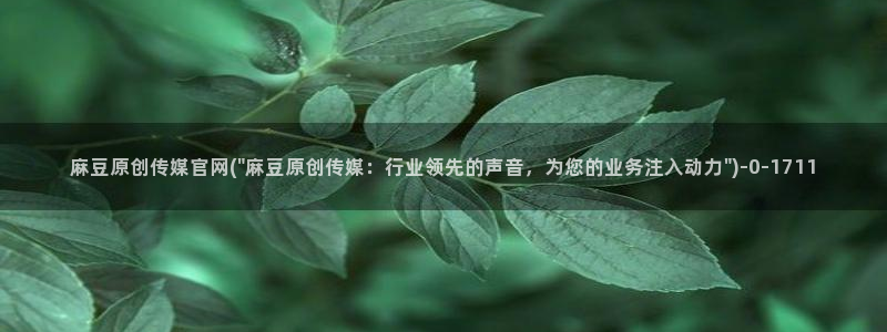 麻豆传媒官网映画