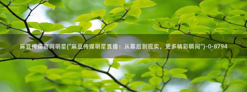 麻豆视传媒app官网：麻豆传媒官网明星(\