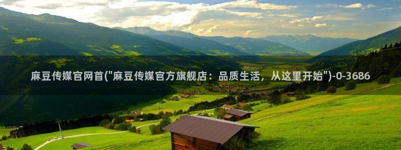 麻豆传媒官网bt